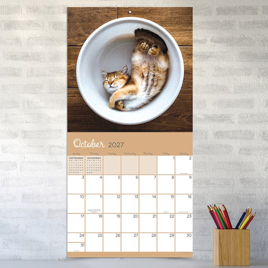 2027 Cat Dreams Wall Calendar